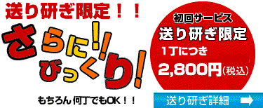 ̐XAE̔EI[_[Ch̎ȂVU[YrbOoւCB̑茤@1Xܗl1艽{ł1,300~Ō܂B